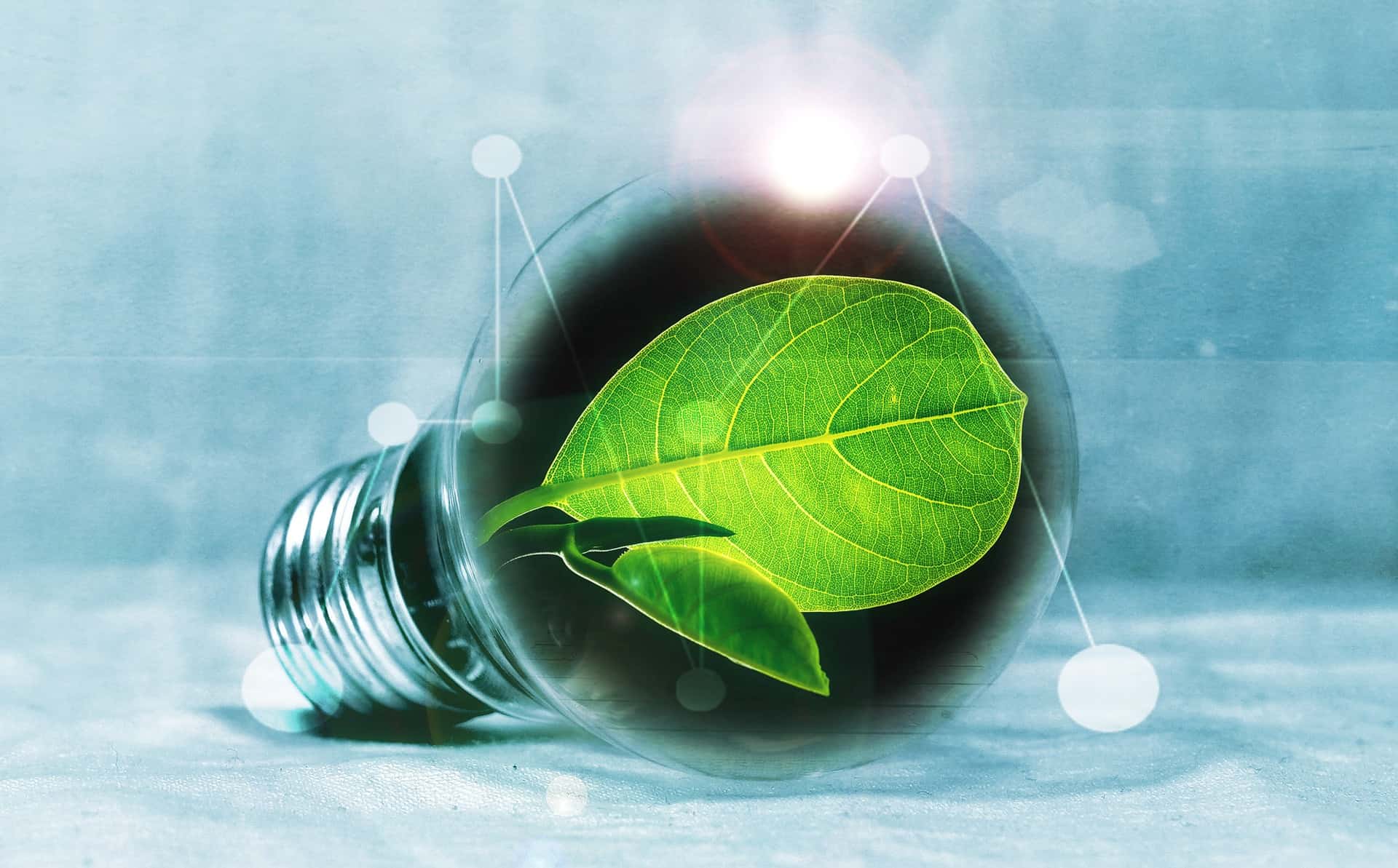 consulenza gestione rifiuti aziende