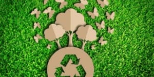 Servizio di smaltimento carcasse animali